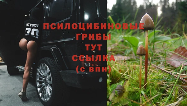 первитин Абаза